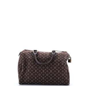 Louis Vuitton Speedy Handbag Mini Lin #242730L84B